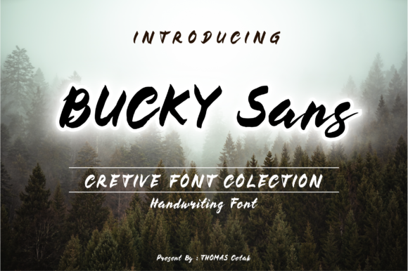 Enhance Your Web Design with Bucky Font