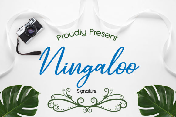 Enhancing Your Web Design with the Elegant Ningaloo Font