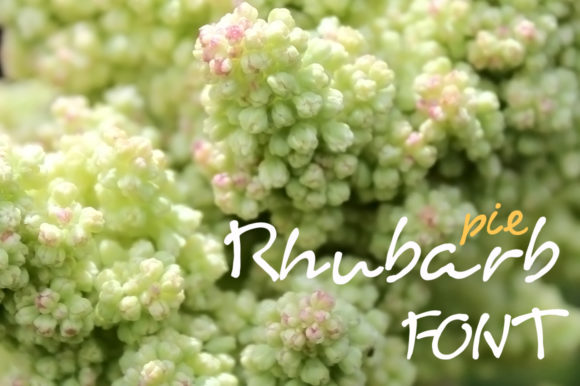 Rhubarb Pie: A Whimsical Font for Eye-Catching Campaigns
