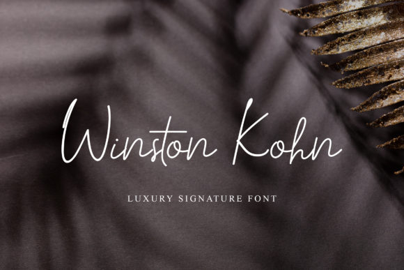 Winston Kohn: A Versatile Script Font for Modern Web Design